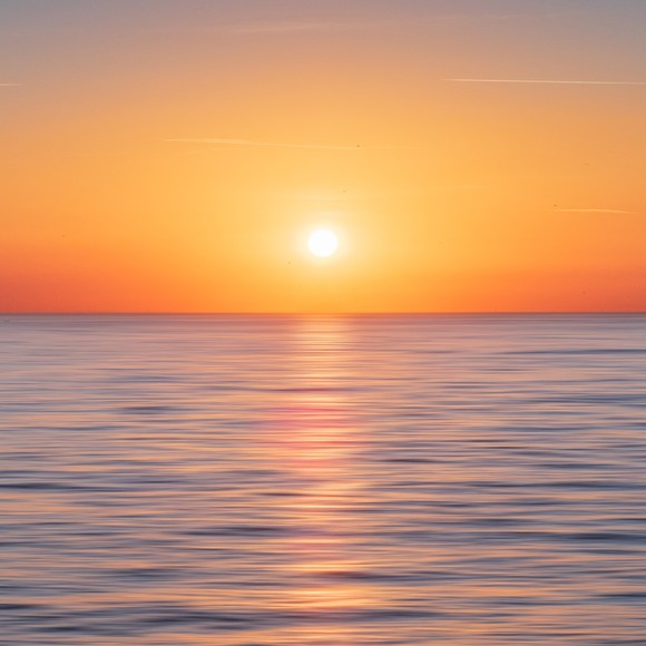 sunriseshopper